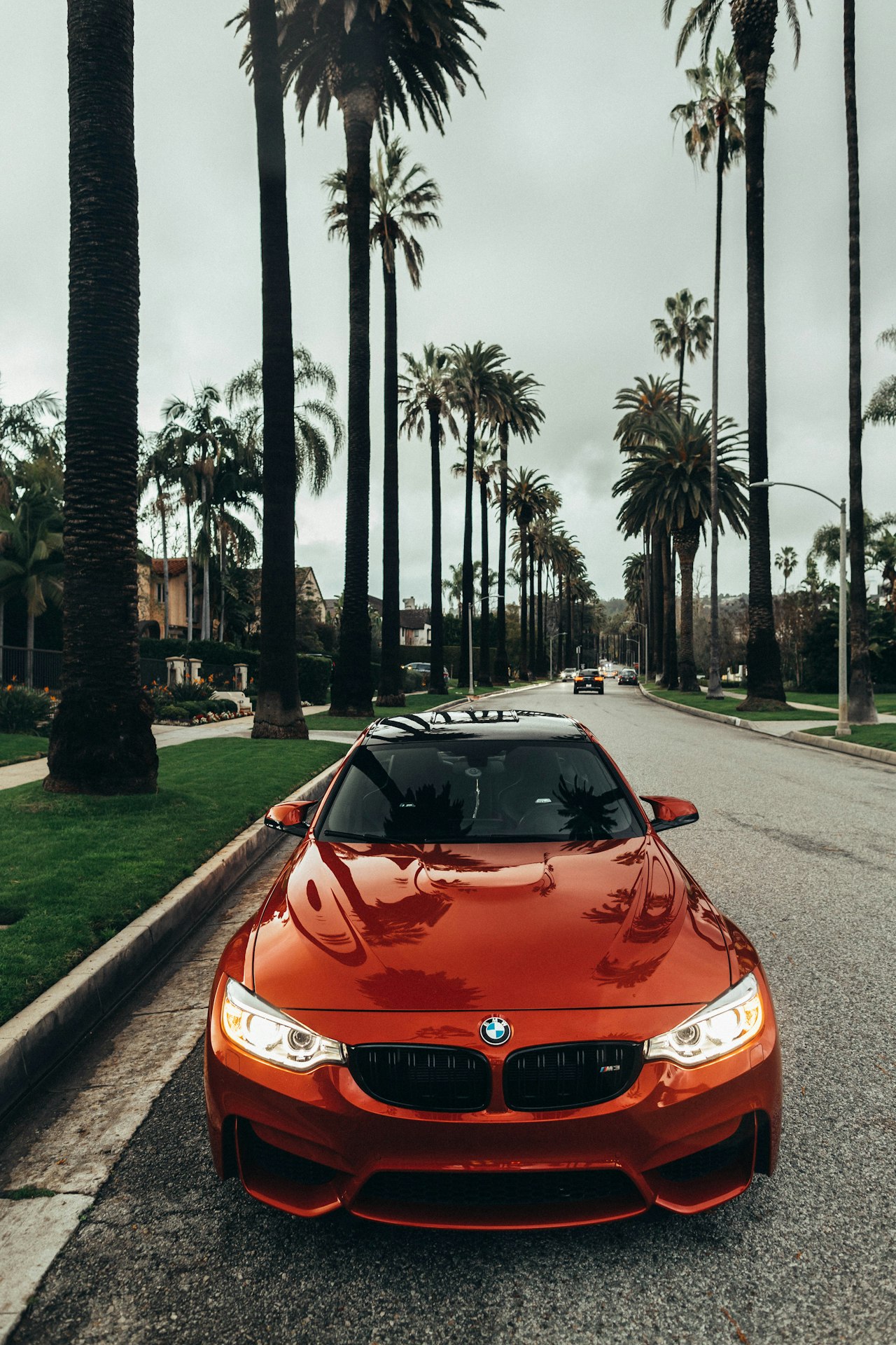 RentGo Vehicle Rental & Fleet Management